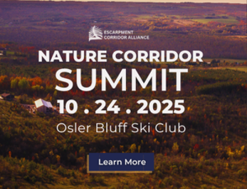 Nature Corridor Summit – October 24th 2025